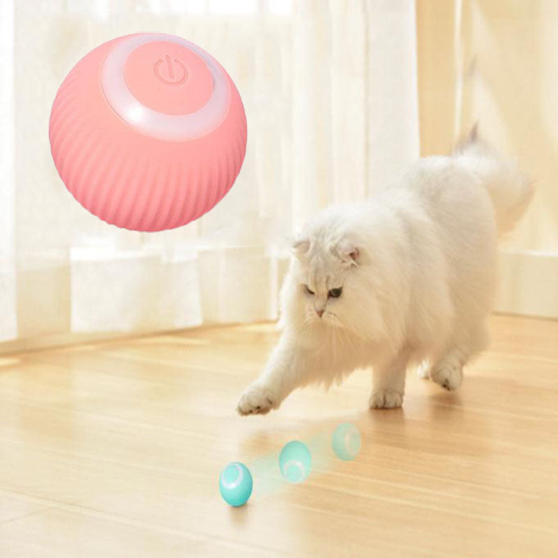 FetchMate Interactive Cat Ball