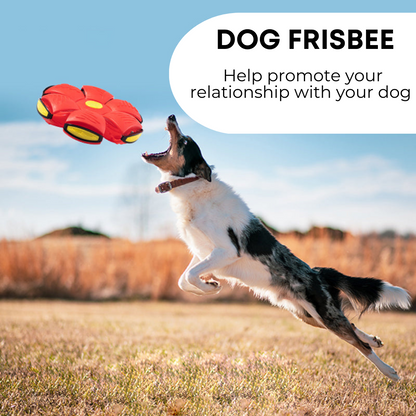 FetchMate Dog Frisbee