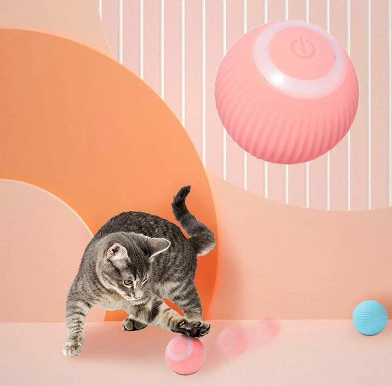 FetchMate Interactive Cat Ball