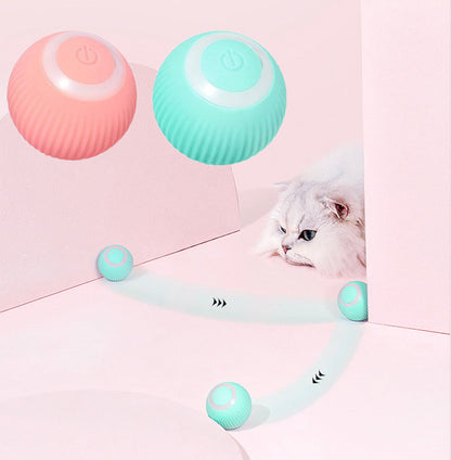 FetchMate Interactive Cat Ball