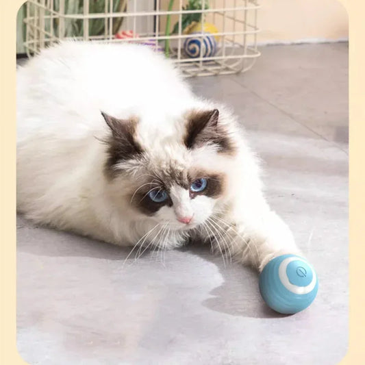 FetchMate Interactive Cat Ball with cat on floor